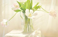 句句精辟的正能量句子，选一句发朋友圈吧！