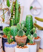 早安充满阳光励志的句子，激励人心，永不言败！