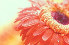 适合早安的励志句子，句句激励人心！