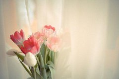 致拼搏路上的自己短句，句句积极向上！