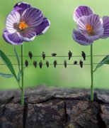 励志学习的个性签名，挑一句话送给自己！