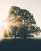 激发潜能的励志名言，每一句都能唤醒你心中的巨人！