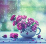 有点沮丧的心情短句，送给心灰意冷的你