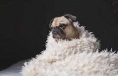 笑话：美女走过来对我说：我怀孕了！老婆甩手就给我一耳光！