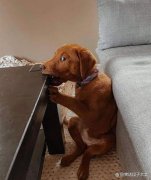 冷笑话集锦：私房钱藏在哪不会被老婆发现？