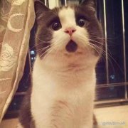 精彩笑话段子集锦：你肯定不是女汉子，你长得都不像女的