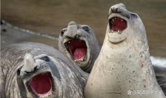 热门笑话：多大结婚才算正常？