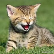 冷笑话：男人为什么都要跟女人结婚？