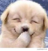 冷笑话集锦：媳妇，我就喜欢你这樱桃小嘴！