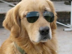 爆笑段子集合：成熟的标志是什么？