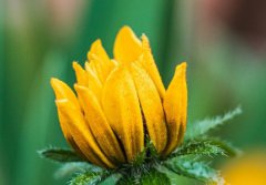 简单易懂的高质量文案短句 适合朋友圈高质量短句