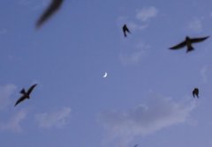 让人看了舒服的朋友圈文案