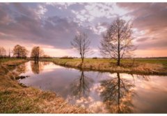 朋友圈晒娃高级文案来啦 高级晒娃文案