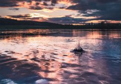 单身天花板文案 单身的高级文案