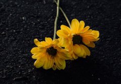 适合发汉服朋友圈的文案 汉服文案短句