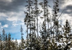 高质量朋友圈日常简短文案 发日常的朋友圈文案