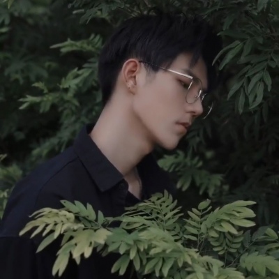 念七 帅气精致男生森系头像