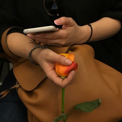 苏瓷:部位头像（手 花 颜色 手持物 部位）