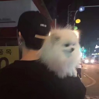 痴诺《风格男头》你怎么就不怕错过我