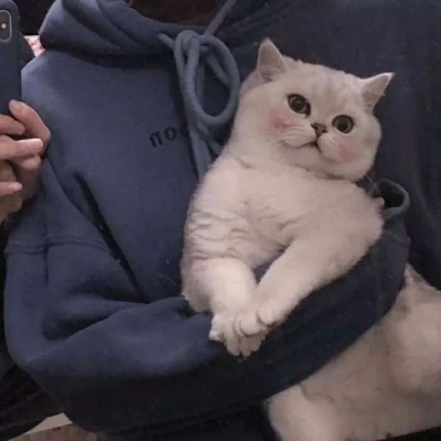 男头