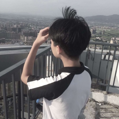 劣质男头2