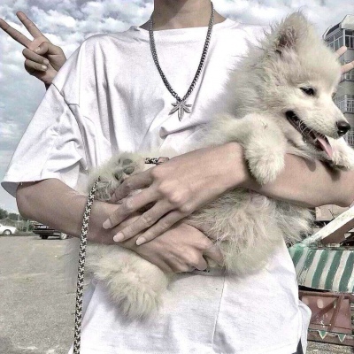 混网男头