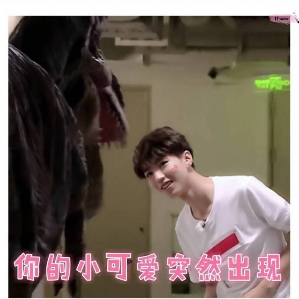 王俊凯表情包