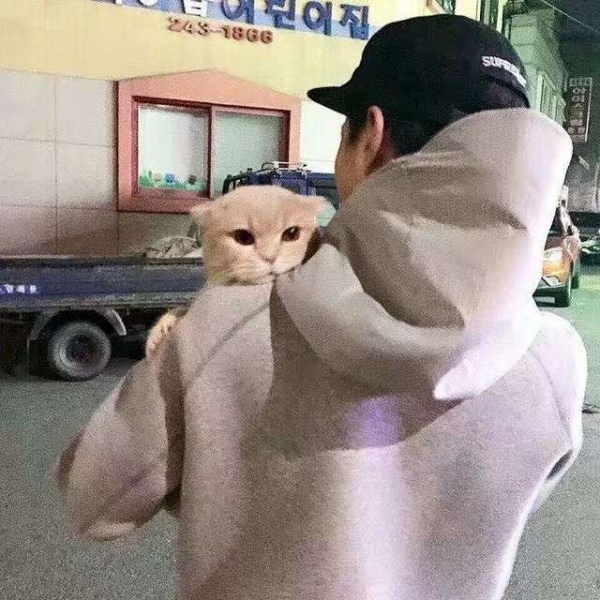 微草/中意男头