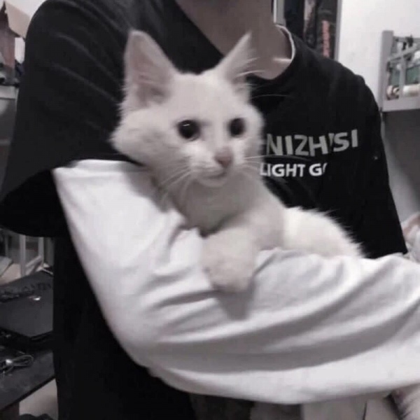 混网部位男/ins风/哪里会有人喜欢孤独不过是不喜欢失望罢了.