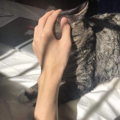 男生头像 目光所及是你 心里还是你