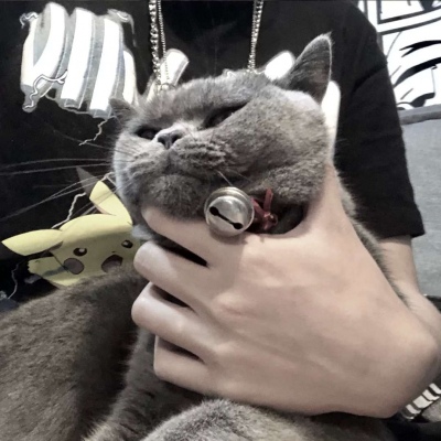 抱猫男头/部位/兄弟/这满天星辰的光辉也抵不过你的一眼凝眸.
