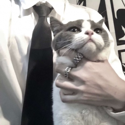 抱猫男头/部位/兄弟/这满天星辰的光辉也抵不过你的一眼凝眸.