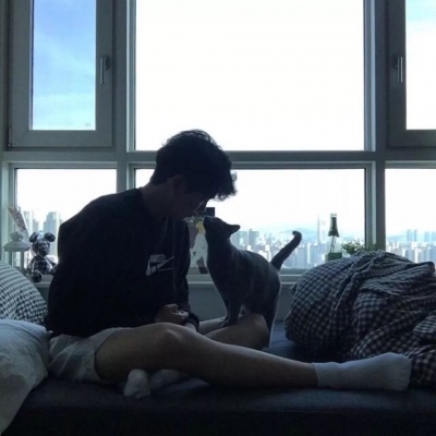 假正经男头