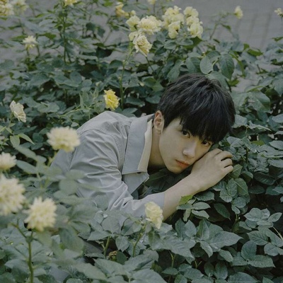 文艺超帅男头/余承恩  月牙儿