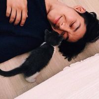 专业盗图一百年~