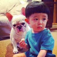 萌宝宝和牛头犬。