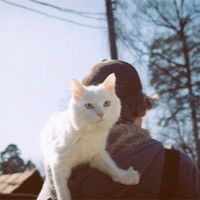 爱猫男