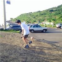 男头。——杂。