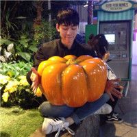 逗比男