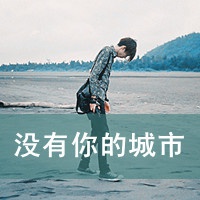 这个城市没有你