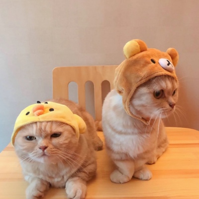 猫咪萌宠/可爱情侣头像