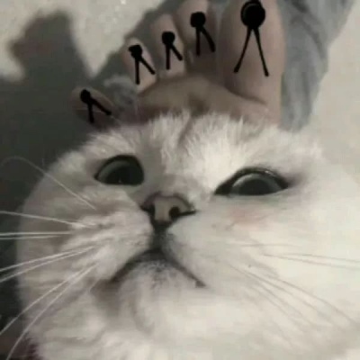 沙雕情头