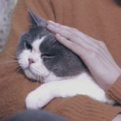 动漫可爱情头?