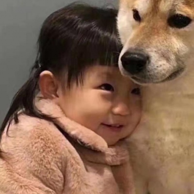 万物皆可情头