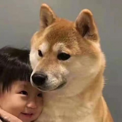 万物皆可情头