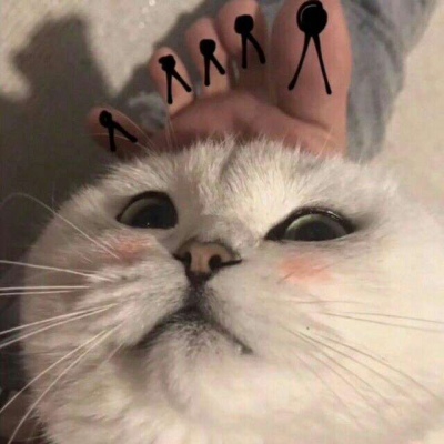 林透/可爱猫咪情侣头像/连疼你的人也没有 你有什么资格去委屈