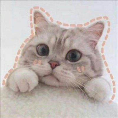 林透/可爱猫咪情侣头像/连疼你的人也没有 你有什么资格去委屈