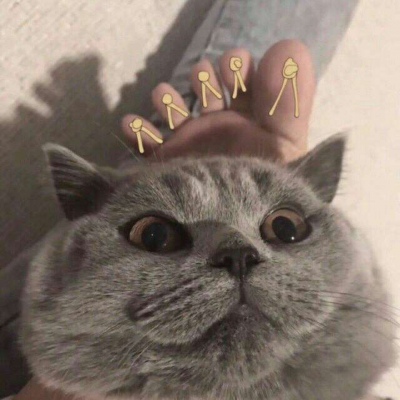 林透/可爱猫咪情侣头像/连疼你的人也没有 你有什么资格去委屈