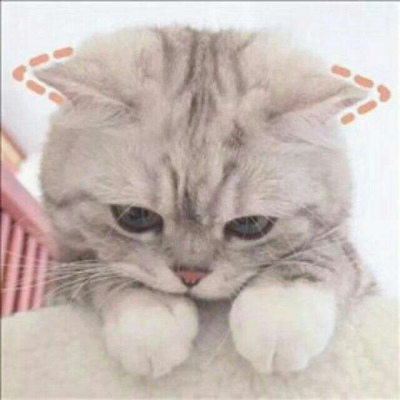 林透/可爱猫咪情侣头像/连疼你的人也没有 你有什么资格去委屈