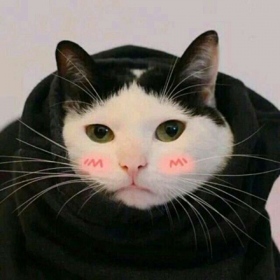 林透/可爱猫咪情侣头像/连疼你的人也没有 你有什么资格去委屈